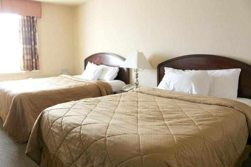 Econo Lodge City Centre Kingston Bagian luar foto