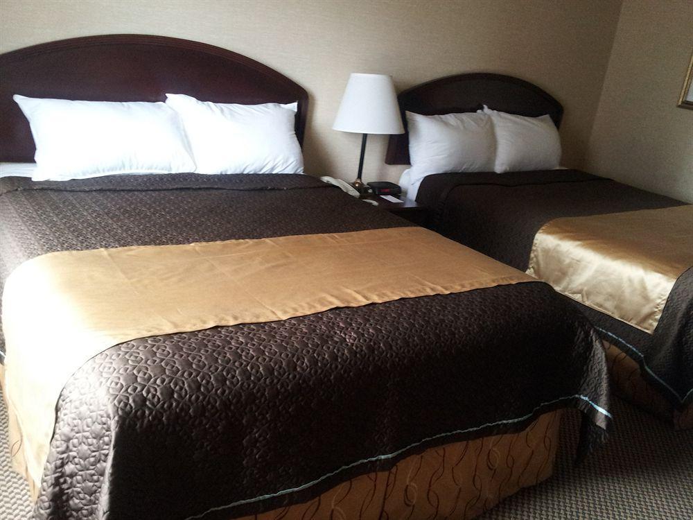 Econo Lodge City Centre Kingston Bagian luar foto
